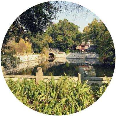 龙炎传世官方下载