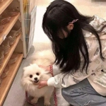 龙之谷手游最新版本下载